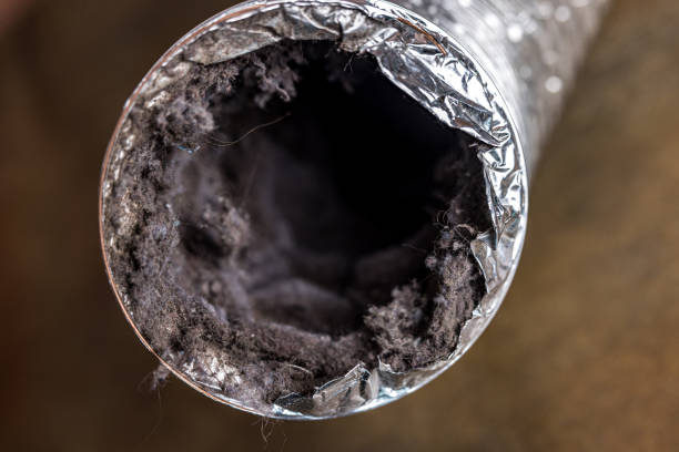 Best Duct Cleaning for Offices  in Moyie Springs, ID