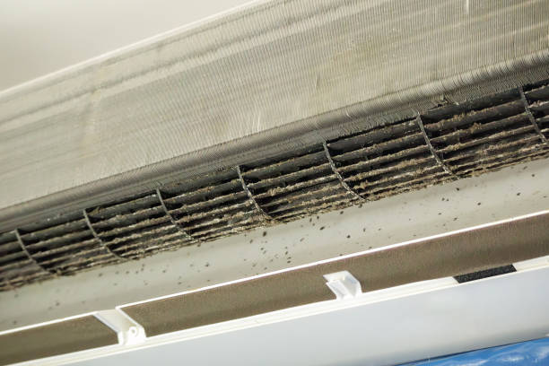Best Commercial Air Duct Cleaning  in Moyie Springs, ID